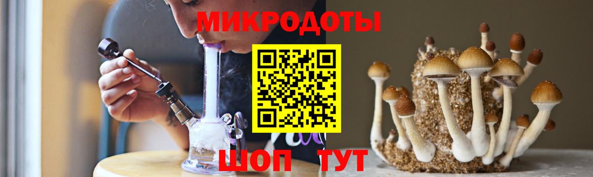 Галлюциногенные грибы Psilocybe  Вход с VPN  Тавда 